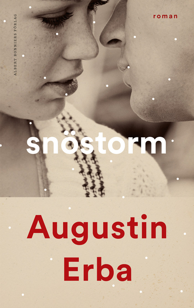 Snöstorm; Augustin Erba; 2019