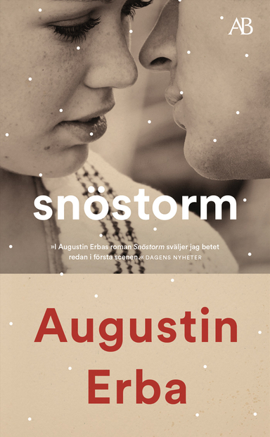 Snöstorm; Augustin Erba; 2020