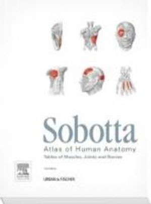 Sobotta atlas of human anatomy : tables of muscles, joints, and nerves; Friedrich Paulsen, Jens Waschke, T. Klonisch, S. Hombach-Klonisch, Johannes Sobotta; 2011