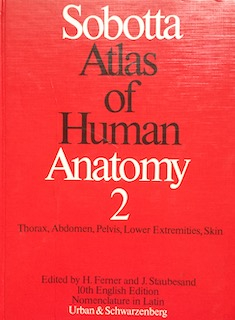 Sobotta Atlas of human anatomy Vol. 2 Thorax, abdomen, pelvis, lower extremities, skin; Johannes Sobotta; 1982