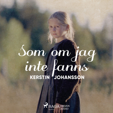 Som om jag inte fanns; Kerstin Johansson; 2017