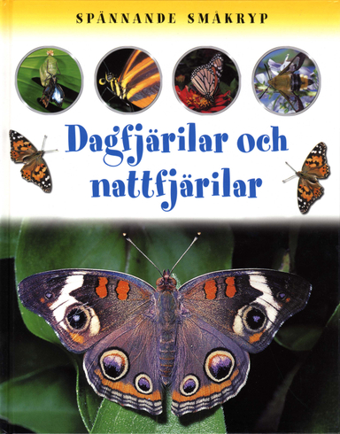 Spännande småkryp Dagfjärilar och nattfjärilar; Sally Morgan; 2001