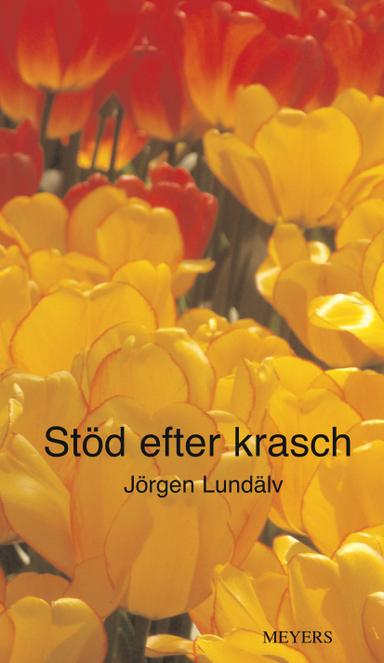 Stöd efter krasch; Jörgen Lundälv; 2009