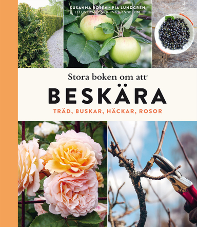 Stora boken om att beskära : träd, buskar, häckar och rosor; Susanna Rosén, Pia Lundgren; 2020