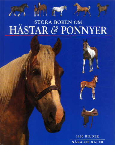 Stora boken om hästar och ponnyer; Tamsin Pickeral; 2004