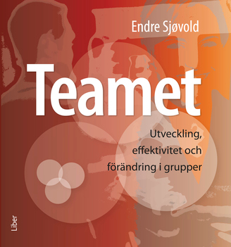 Teamet; Endre Sjøvold; 2008