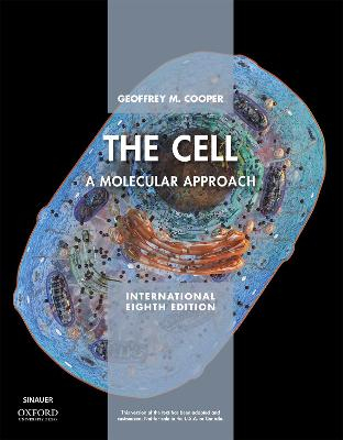 The Cell; Geoffrey Cooper; 2019