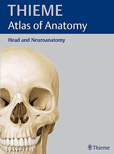 Thieme Atlas of Anatomy: Head and NeuroanatomyVolym 3 av Thieme atlas of anatomy; Michael Schünke, Erik Schulte, Udo Schumacher