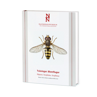 Tvåvingar : blomflugor. Diptera : syrphidae: syrphinae; Hans Bartsch; 2009