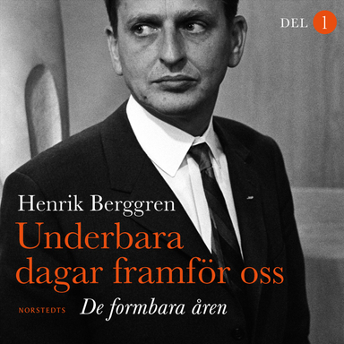 Underbara dagar framför oss : De formbara åren; Henrik Berggren; 2021