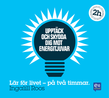 Upptäck och skydda dig mot energitjuvar : på en timme; Ingalill Roos; 2012