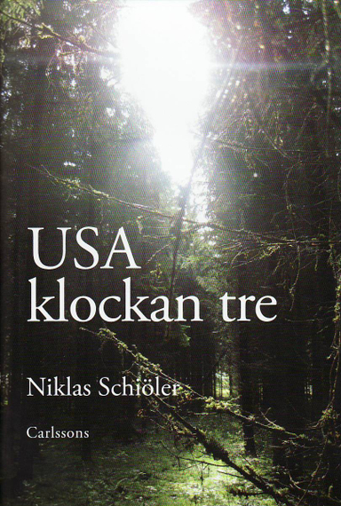 USA klockan tre; Niklas Schiöler; 2010