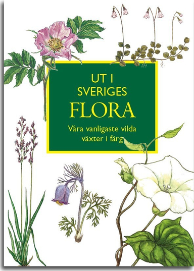 Ut i Sveriges Flora: våra vanligaste vilda växter i färg; Ingvar Nordin; 2017