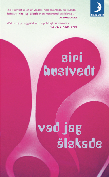 Vad jag älskade; Siri Hustvedt; 2005