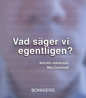 Vad säger vi egentligen?; Kerstin Johansson, Mia Carlstedt; 2005