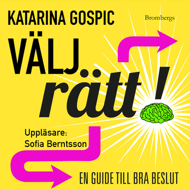 Välj rätt! : en guide till bra beslut; Katarina Gospic; 2020