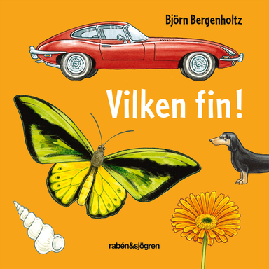 Vilken fin!; Björn Bergenholtz; 2019