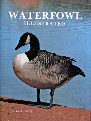 Waterfowl Illustrated; Tricia Veasey; 1997