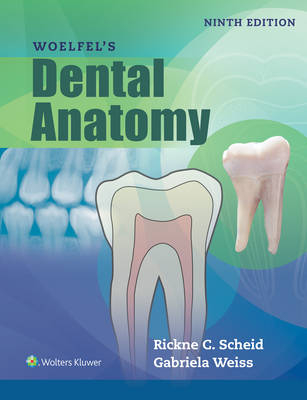 Woelfels Dental Anatomy; Rickne C Scheid, Gabriela Weiss; 2016