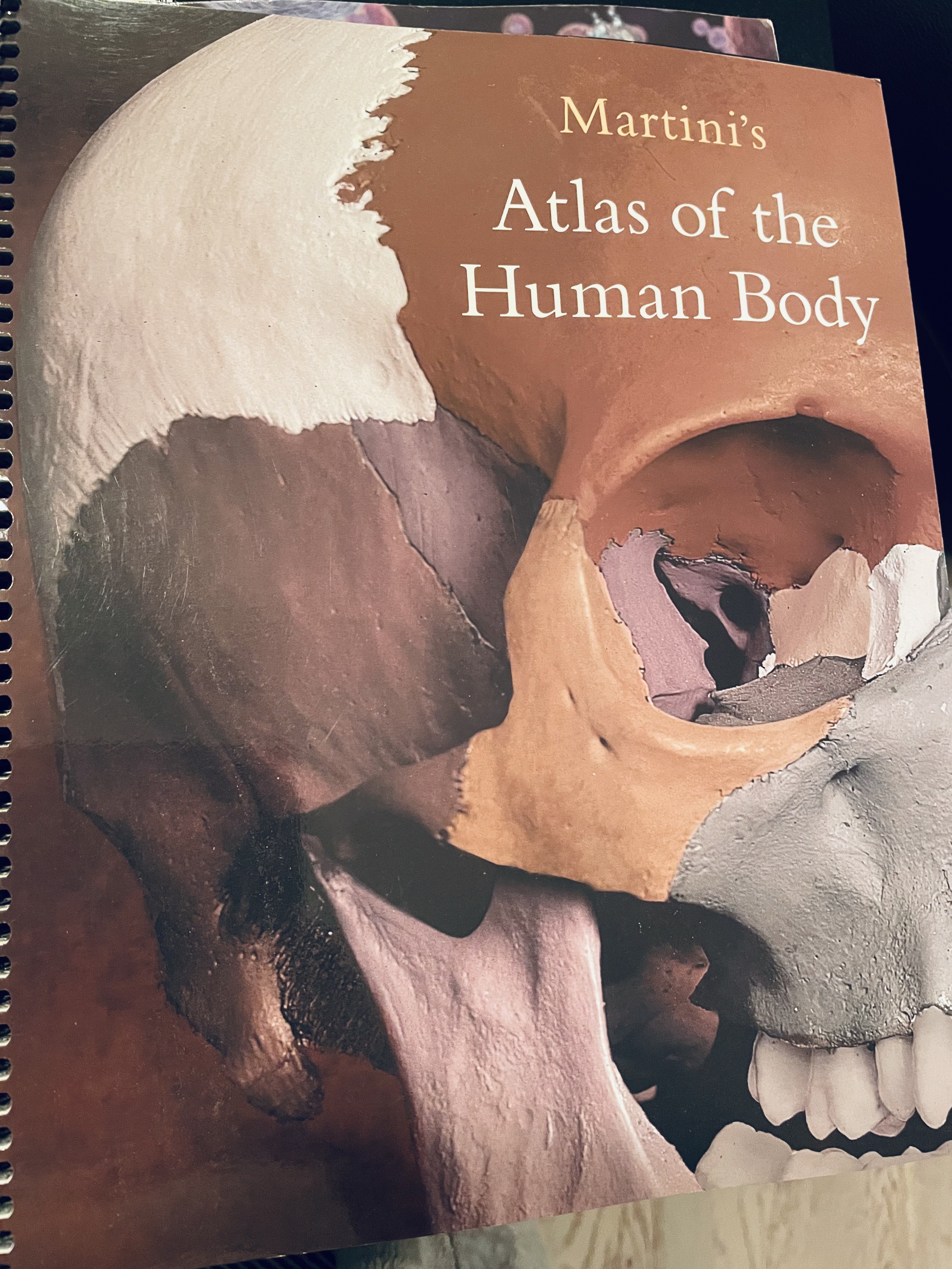Martini's Atlas Of The Human Body; Frederic Martini, William C. Ober; 2004