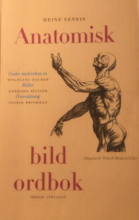 Anatomisk bildordbok; Heinz Feneis; 1996