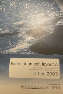 Information och layout; Behandlade ord; 2004